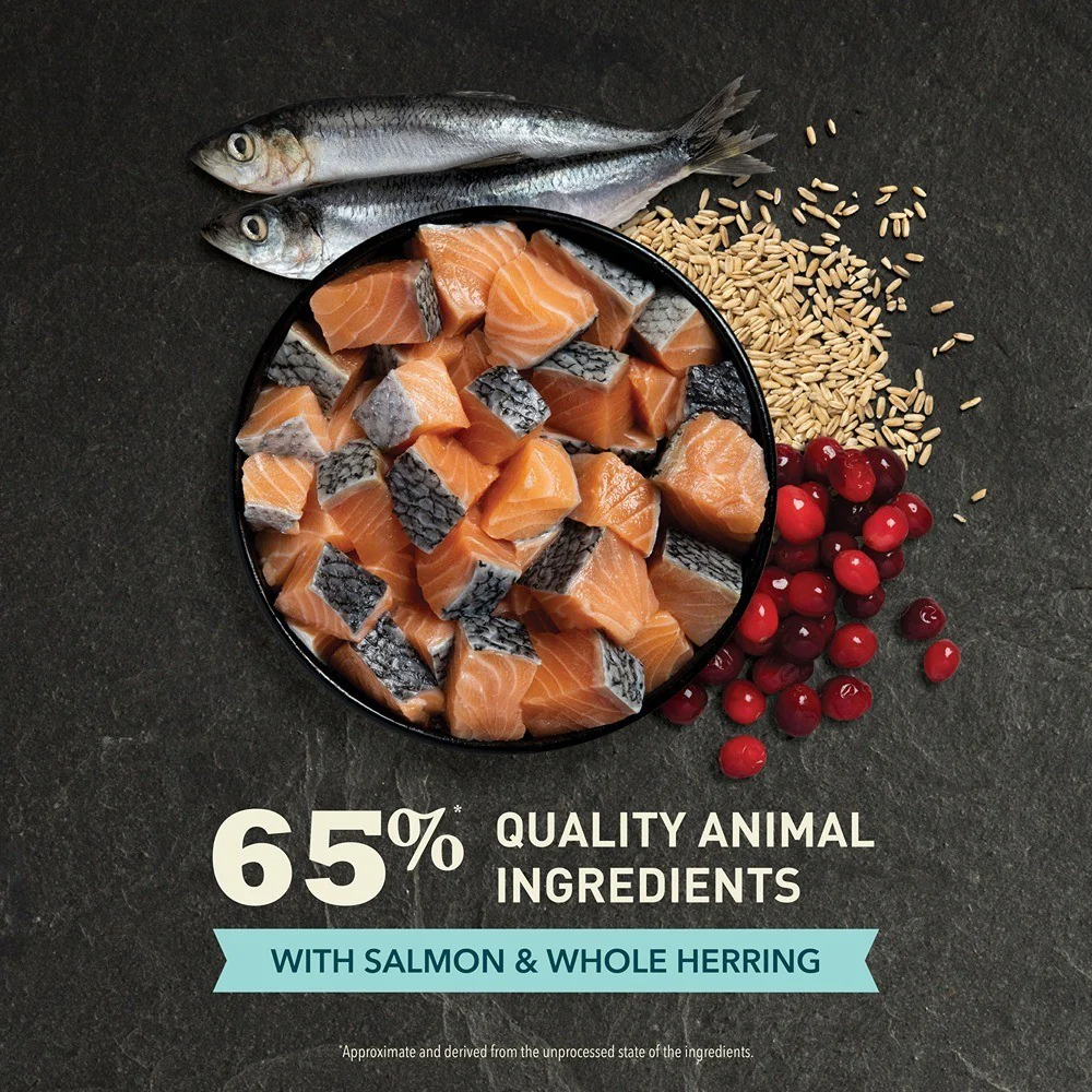 Acana Adult Bountiful Catch Dry Cat Food - Image 9