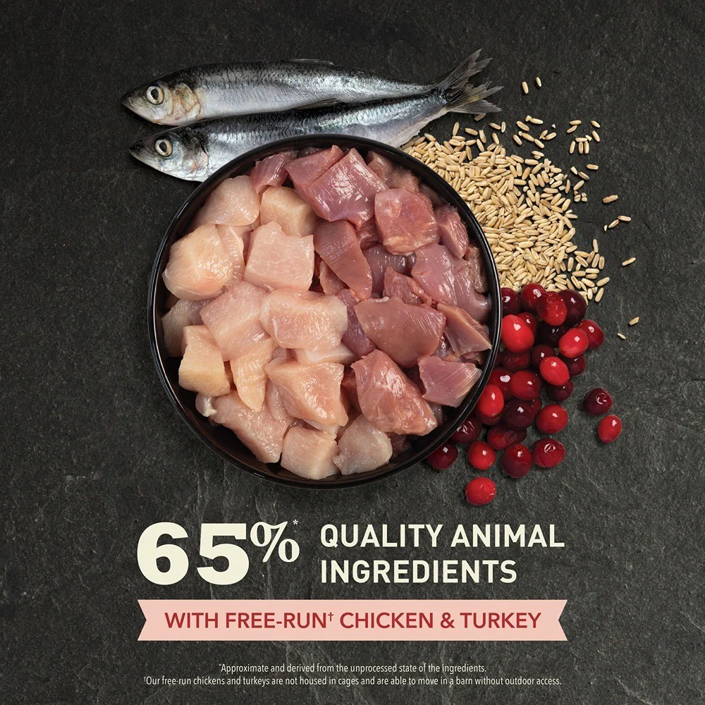Acana Indoor Entrée Chicken & Turkey Dry Cat Food - Image 5