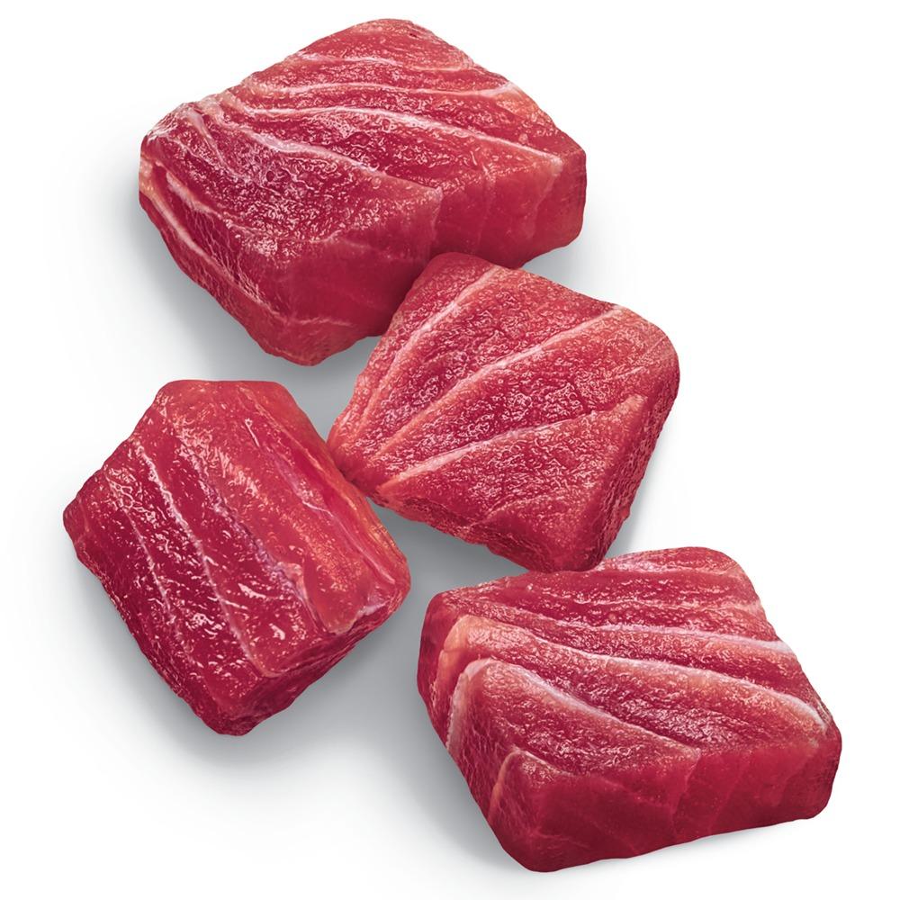 Advance Adult Ocean Fish Dry Cat Food - Image 16
