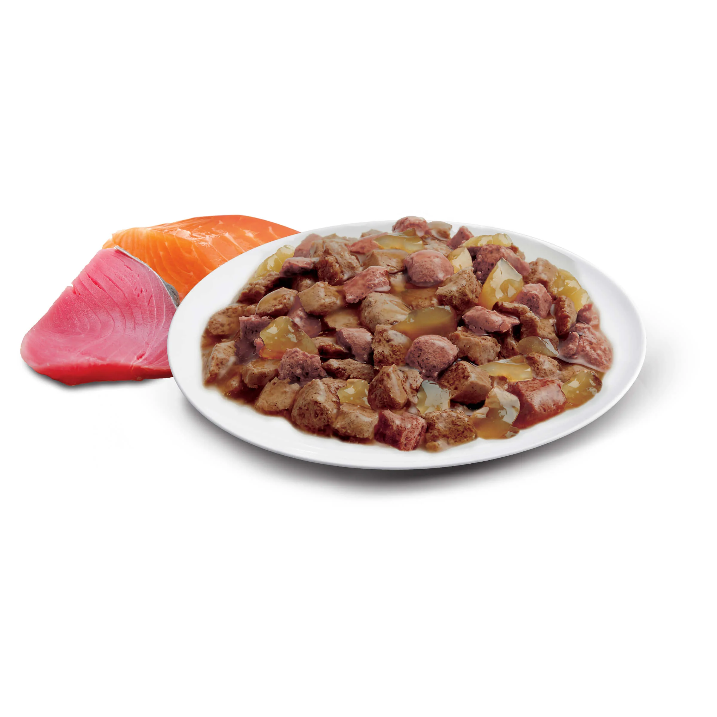 Advance Adult Ocean Fish in Jelly Wet Cat Food - Image 11