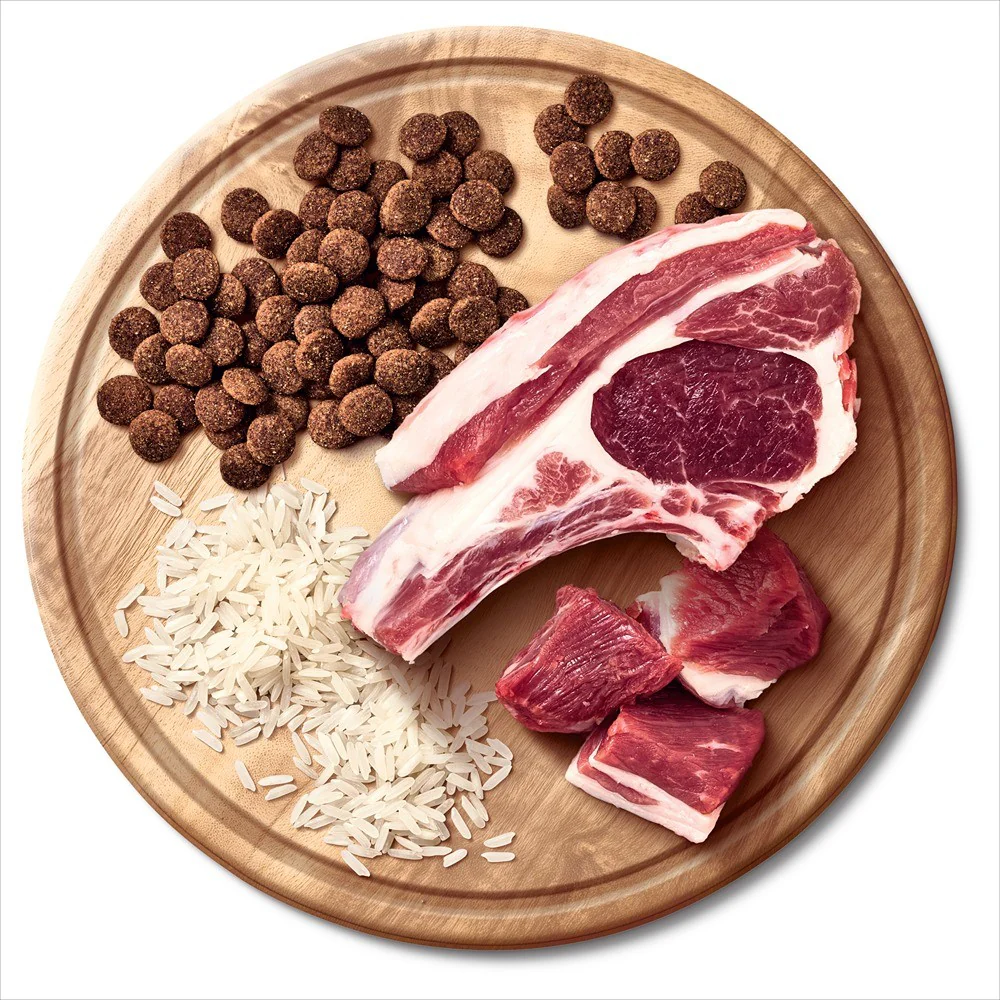 Advance Adult Lamb & Rice Dry Dog Food - Image 12