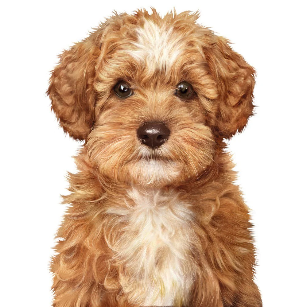 Advance Oodles Puppy Turkey & Rice Wet Dog Food - Image 6