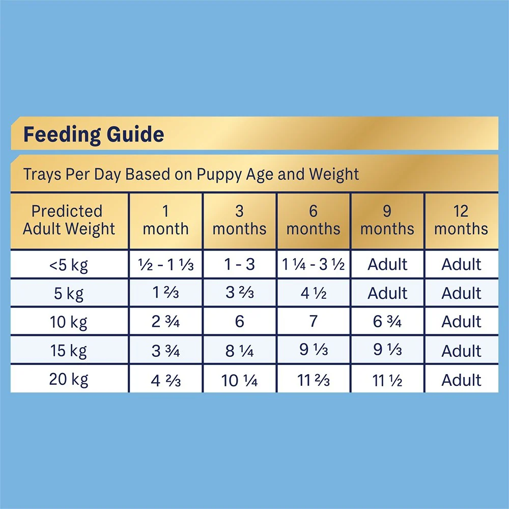 Advance Oodles Puppy Turkey & Rice Wet Dog Food - Image 7