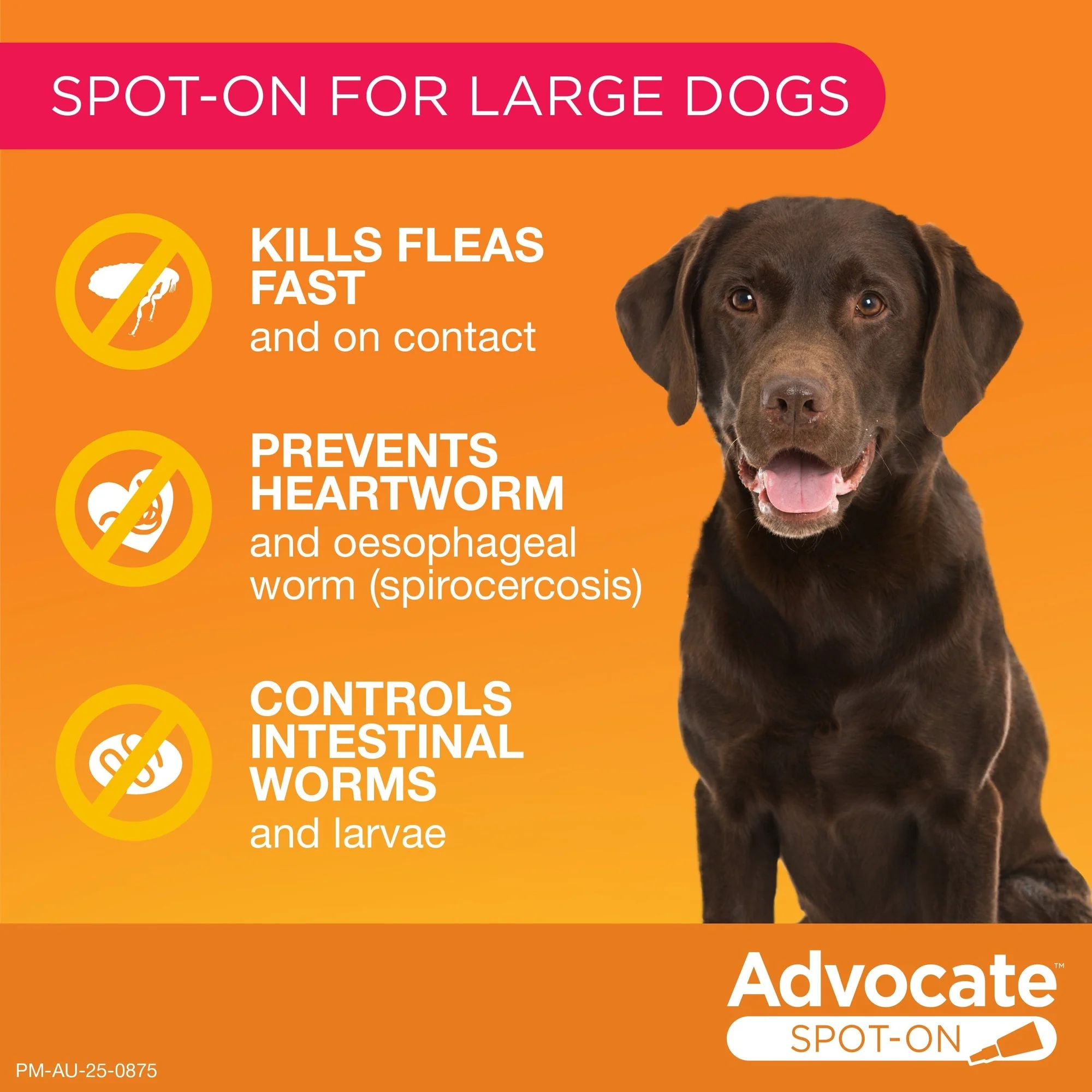 Advocate Red Spot-On Flea & Worming Treatment 10-25kg Dog - Image 23