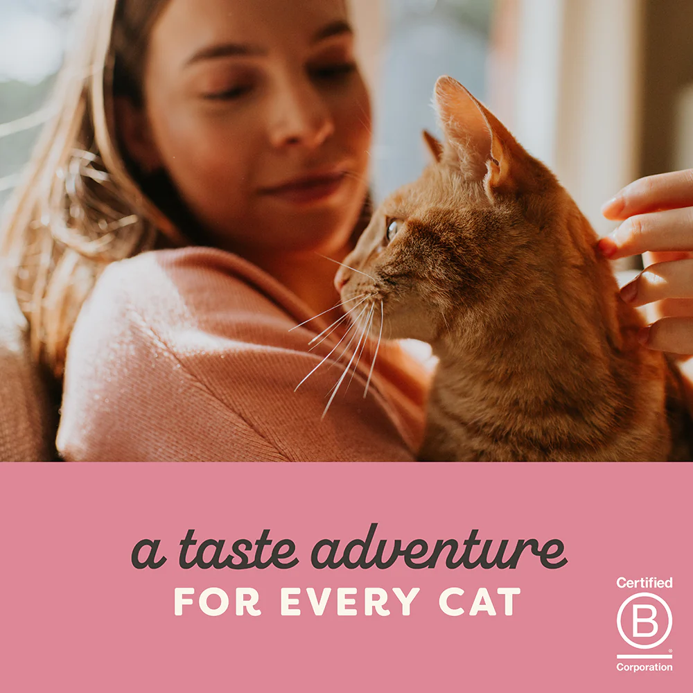 Applaws Natural Chicken Breast with Duck in Broth Wet Cat Food Can - Image 9