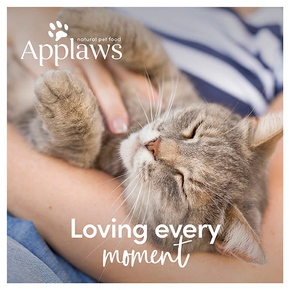 Applaws Natural Mackerel Loin Cat Treat - Image 15