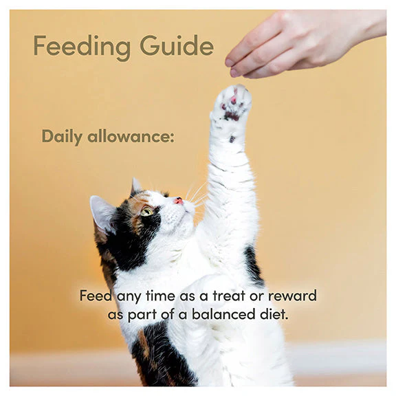 Applaws Natural Salmon Loin Cat Treat - Image 6