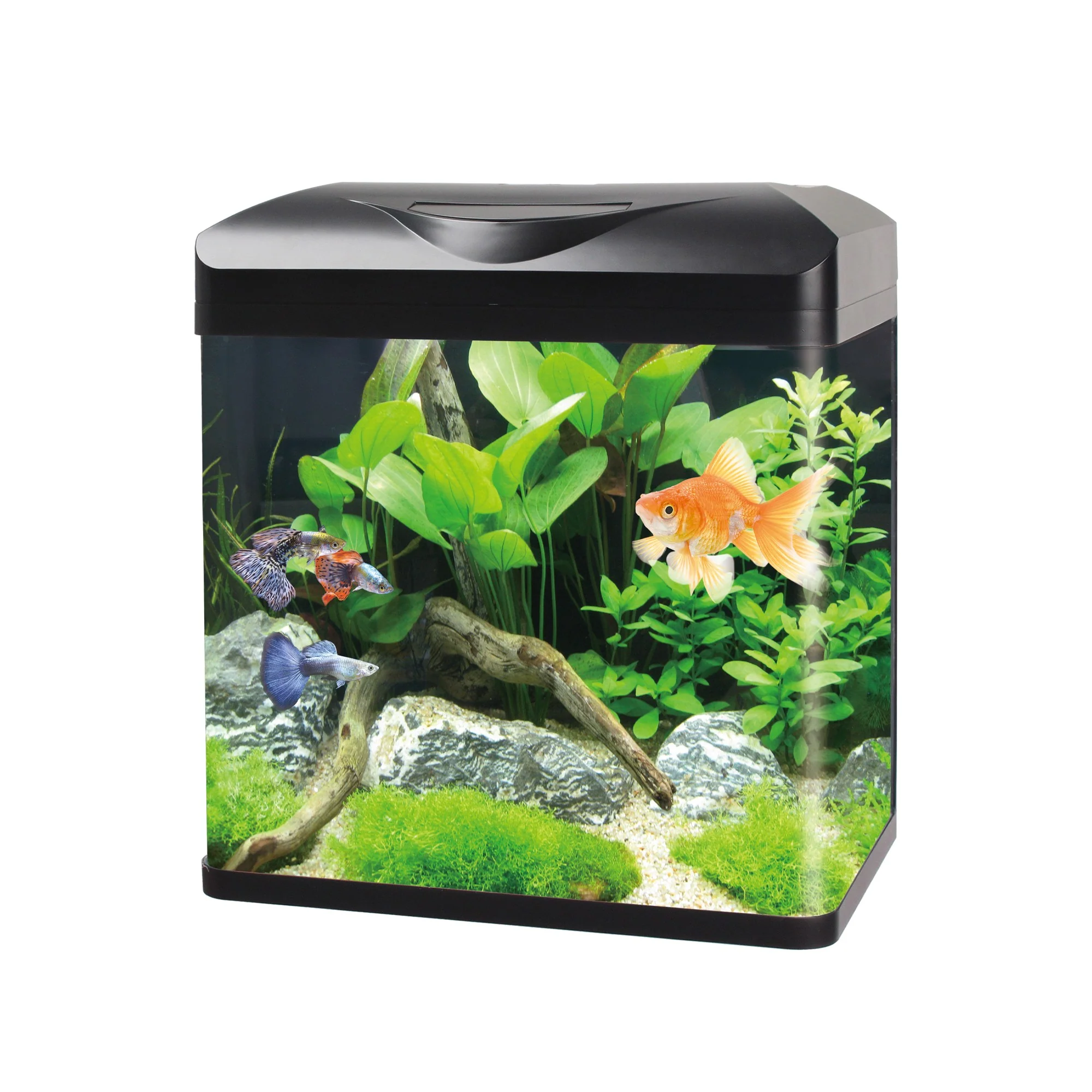 Aqua Care All-In-One Aquarium - Image 2