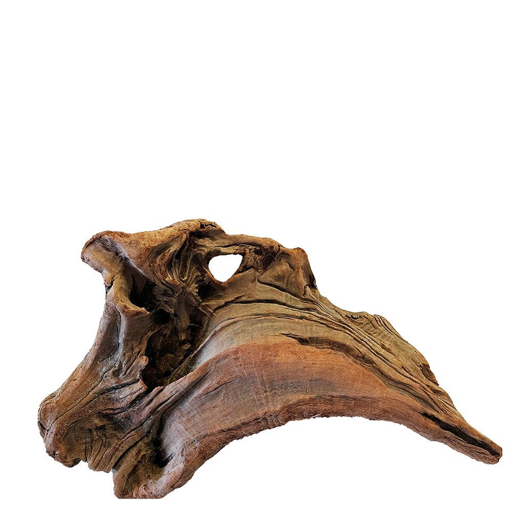 Aqua Natural NZ Exotic Wood - Image 6