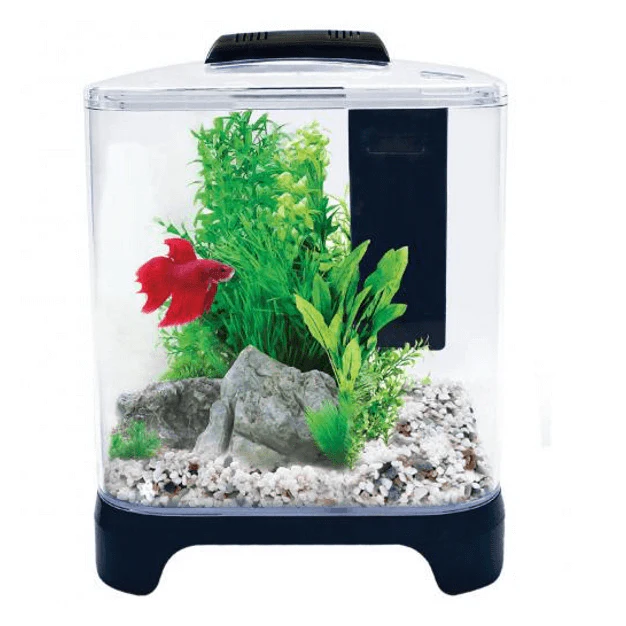 Aqua One Betta Haven Acrylic Aquarium 7L - Image 3