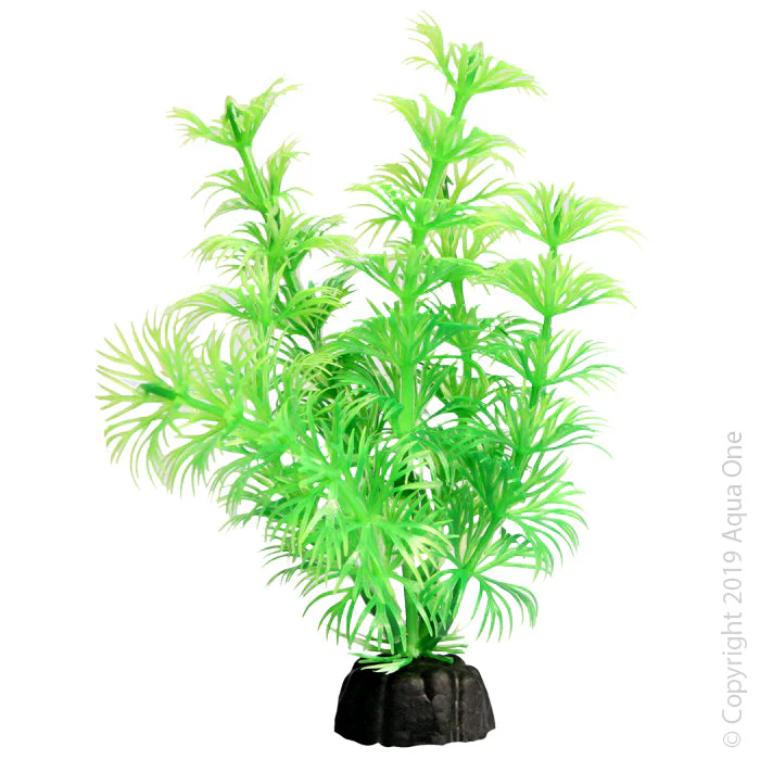 Aqua One Bettascape Betta Plant Ambulia Green - Image 4