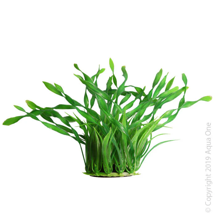 Aqua One Ecoscape Corkscrew Val Planter Medium - Image 4