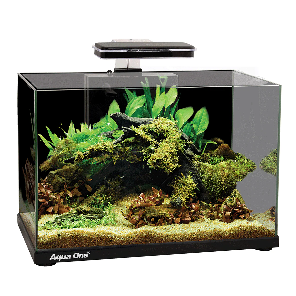 Aqua One Focus 36L Glass Aquarium - Image 3