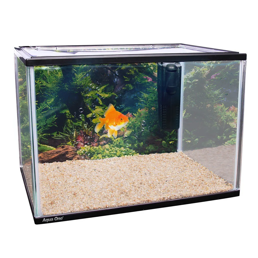 Aqua One MiniGold 16 Glass Aquarium - Image 4