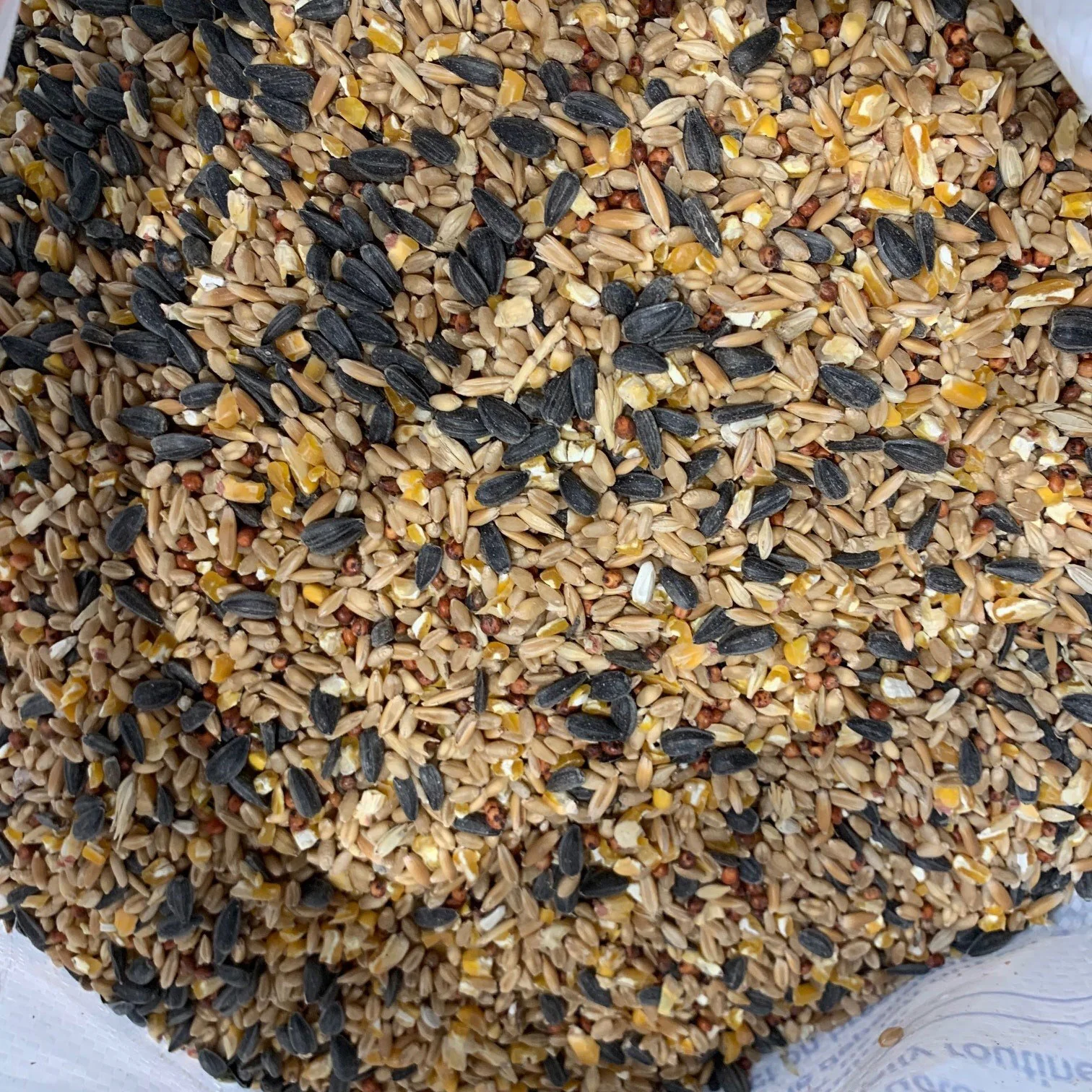 Australian Wild Bird Mix 20kg - Image 2