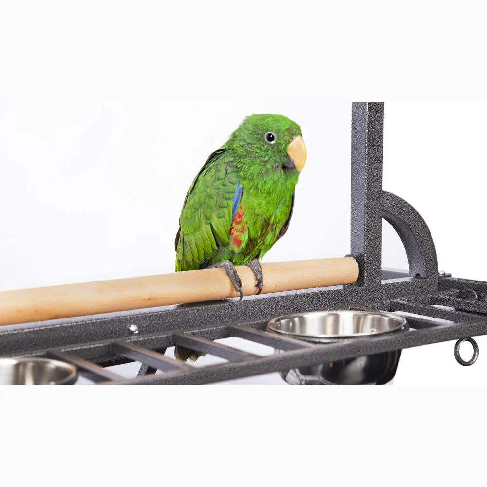 Avi One Parrot Stand Deluxe Silver/Black - Image 2
