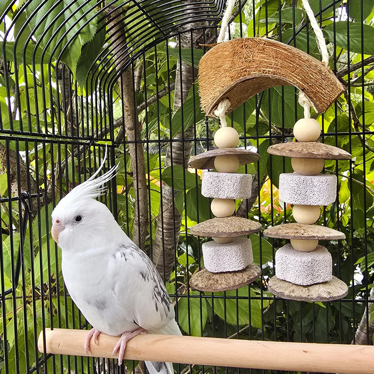 Avi One Pumice & Beads With Coconut Husk Bird Toy - Image 4