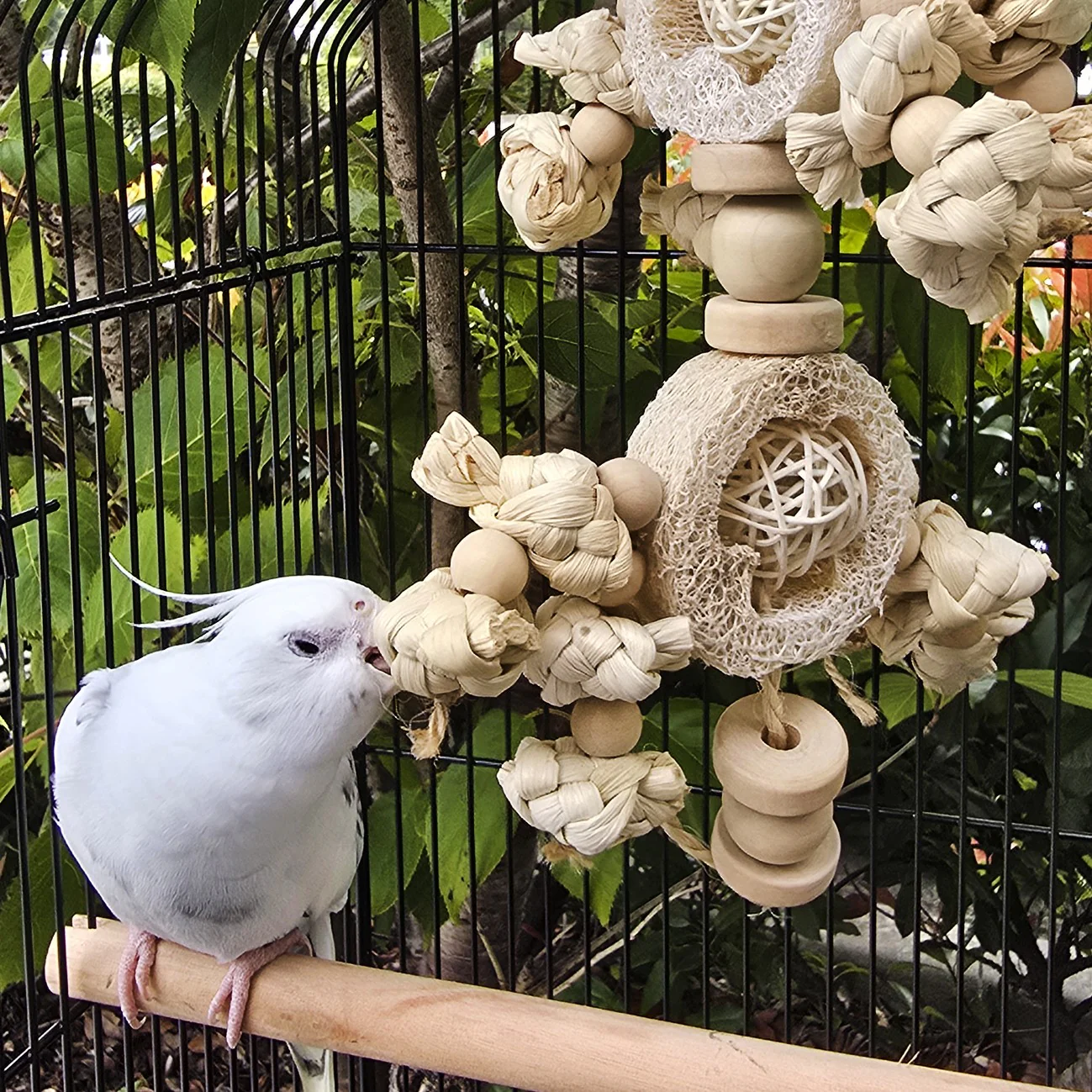 Avi One Rattan Ball With Seagrass & Loofah Bird Toy - Image 4