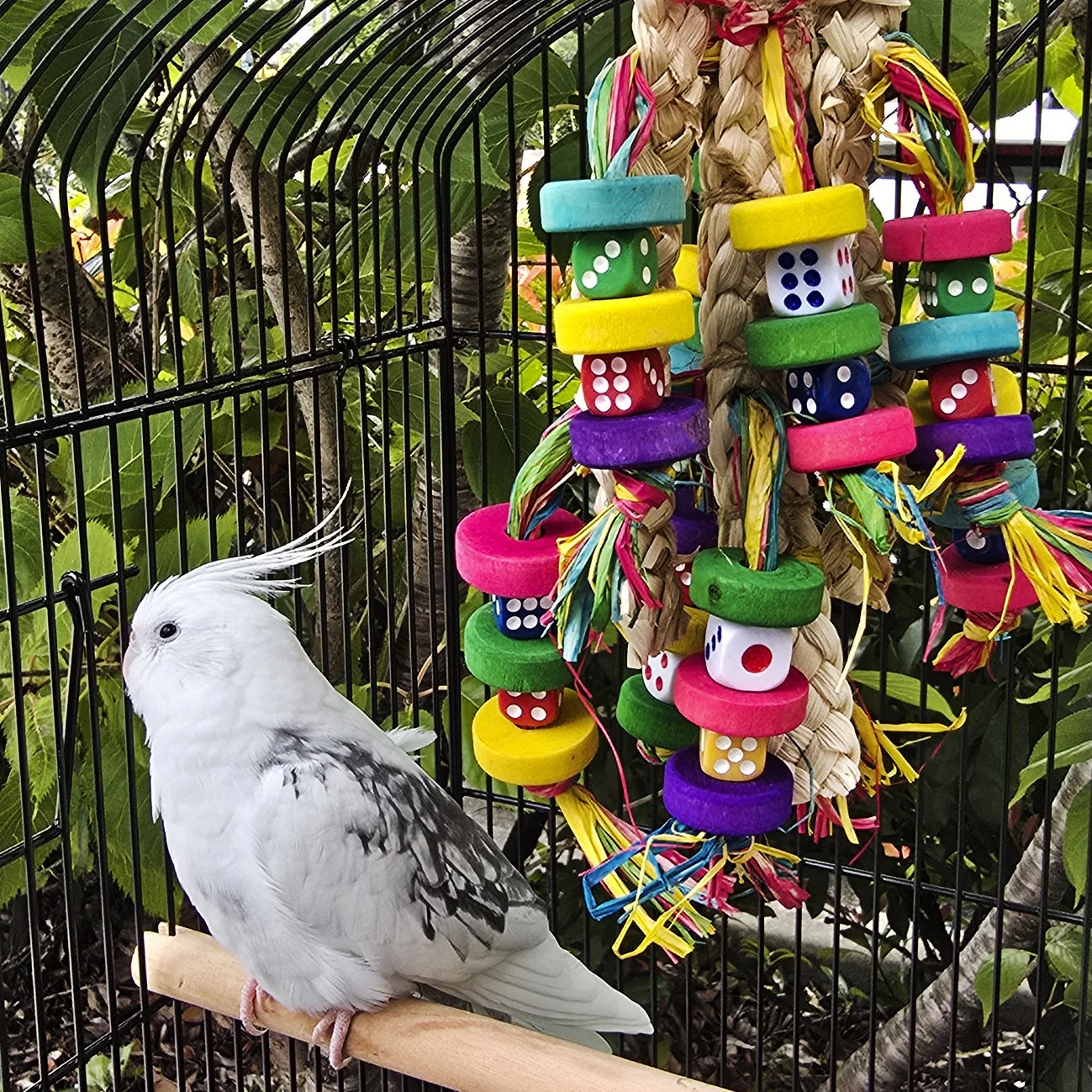 Avi One Wooden Beads With Raffia & Seagrass Bird Toy - Image 4