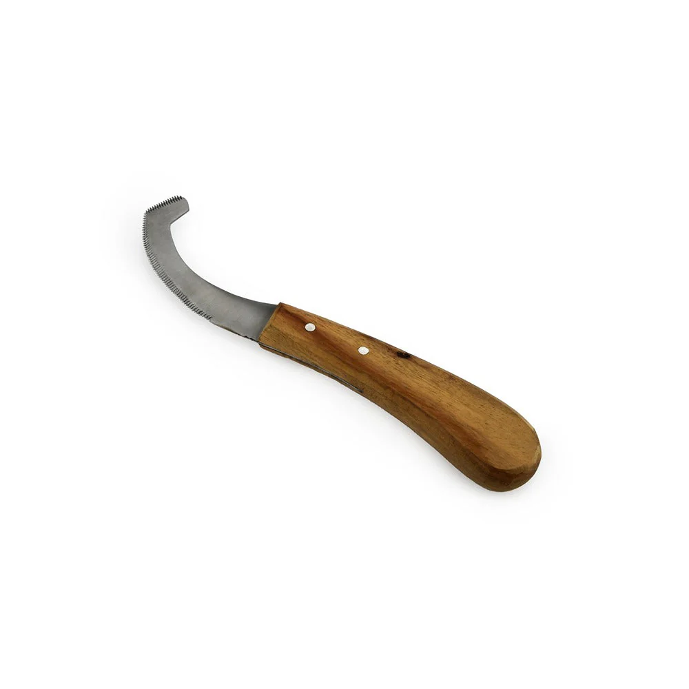 Bainbridge Bot Egg Knife - Image 2