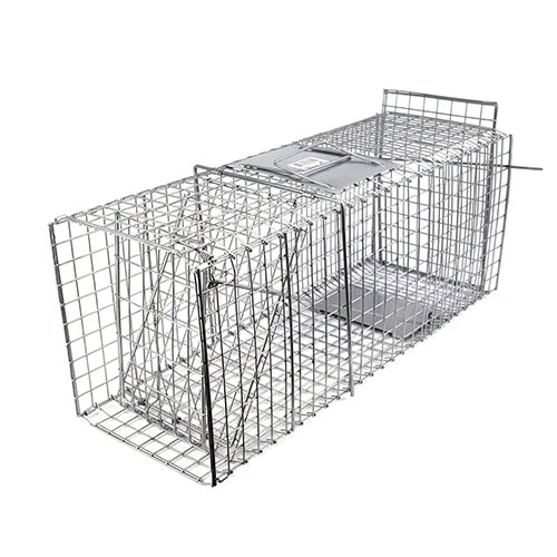 Bainbridge Collapsible Cage Trap - 66cm - Image 2