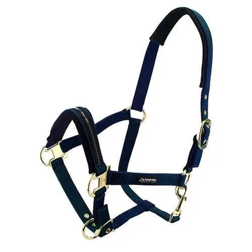 Bainbridge Deluxe Horse Halter - Image 4