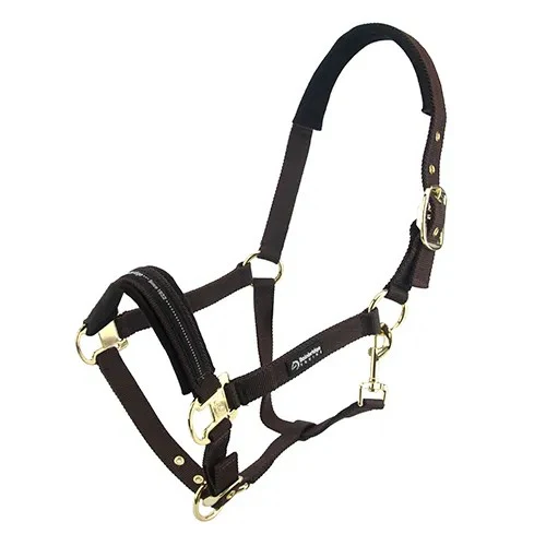 Bainbridge Deluxe Horse Halter - Image 5