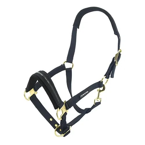 Bainbridge Deluxe Horse Halter - Image 7