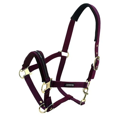 Bainbridge Deluxe Horse Halter - Image 8