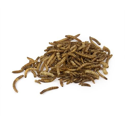 Bainbridge Dried Mealworms - Image 3