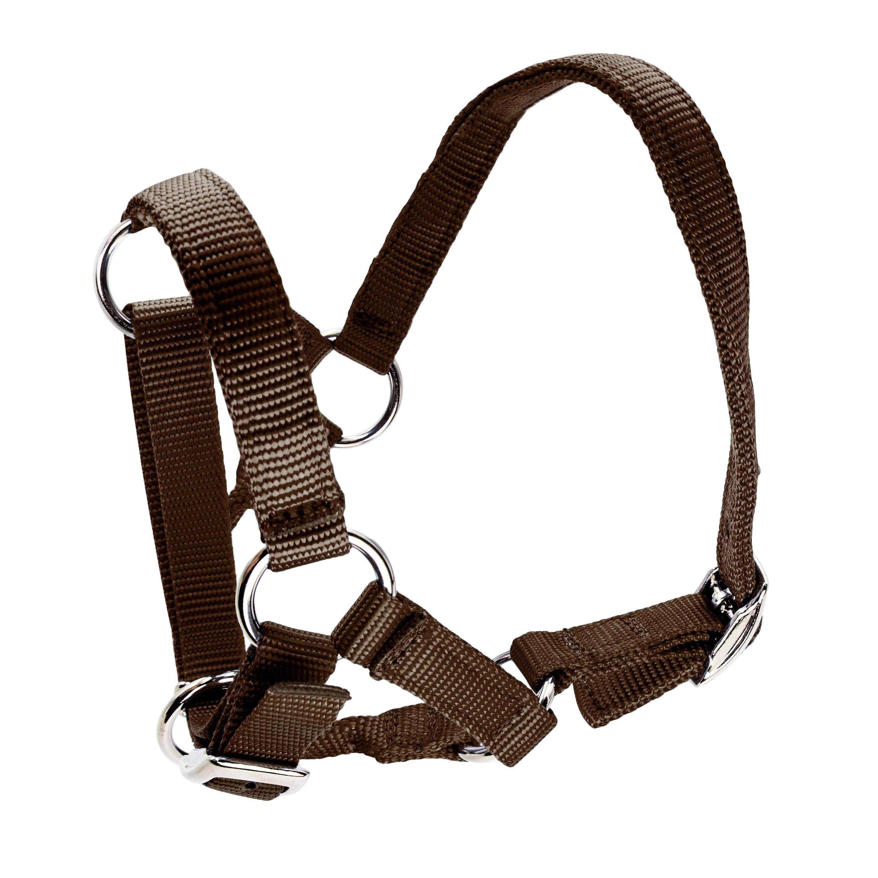 Bainbridge Halter For Alpacas - Image 10