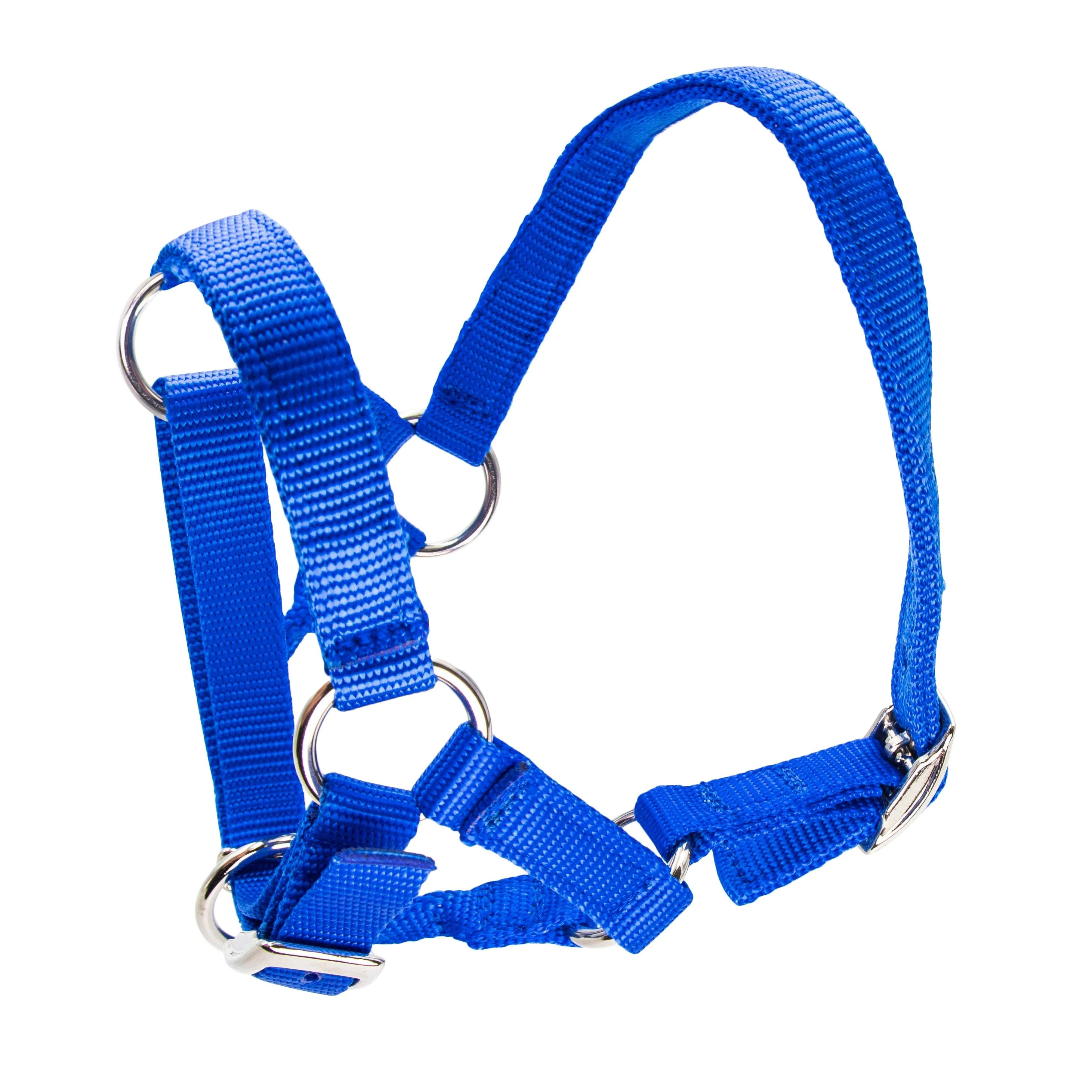 Bainbridge Halter For Alpacas - Image 14