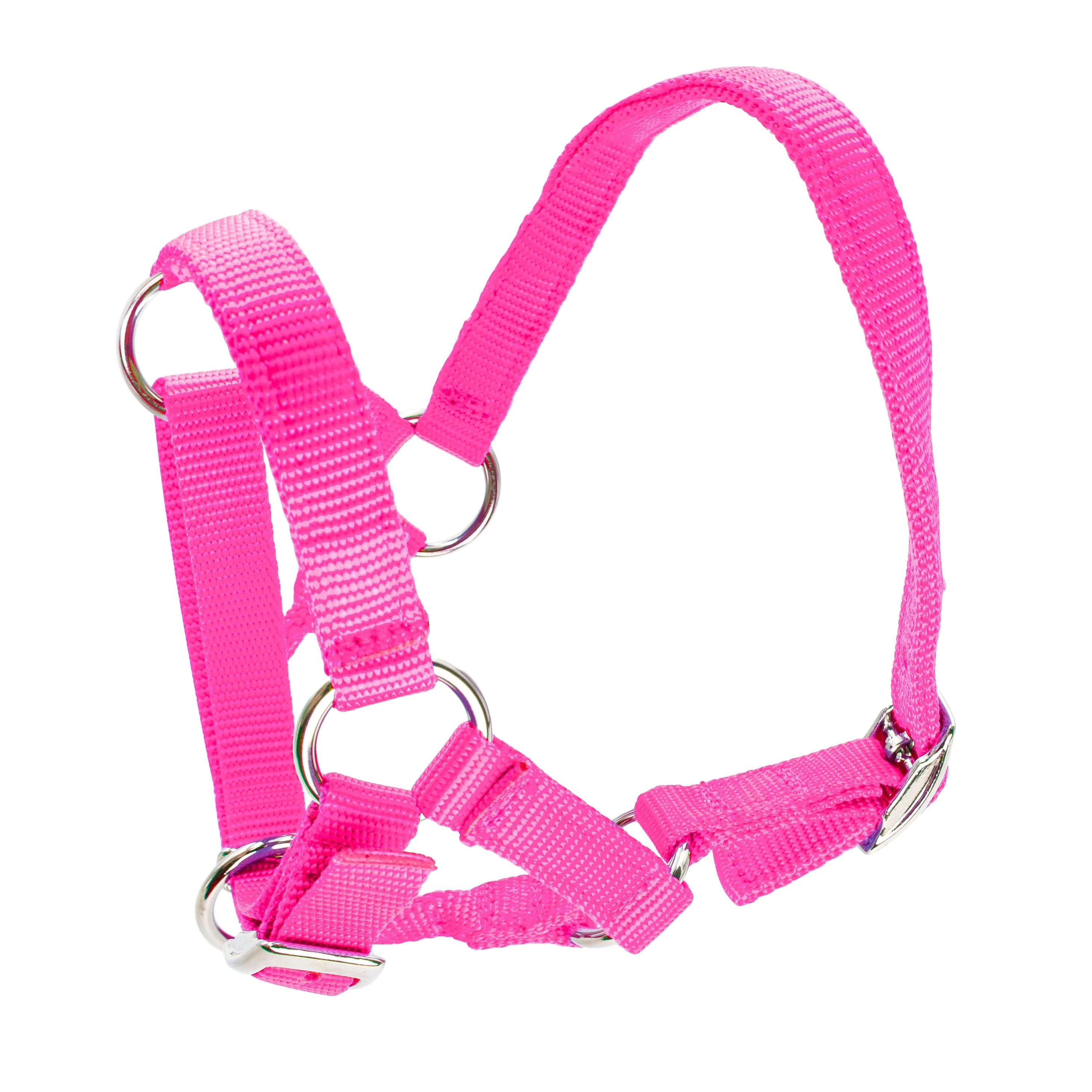 Bainbridge Halter For Alpacas - Image 21