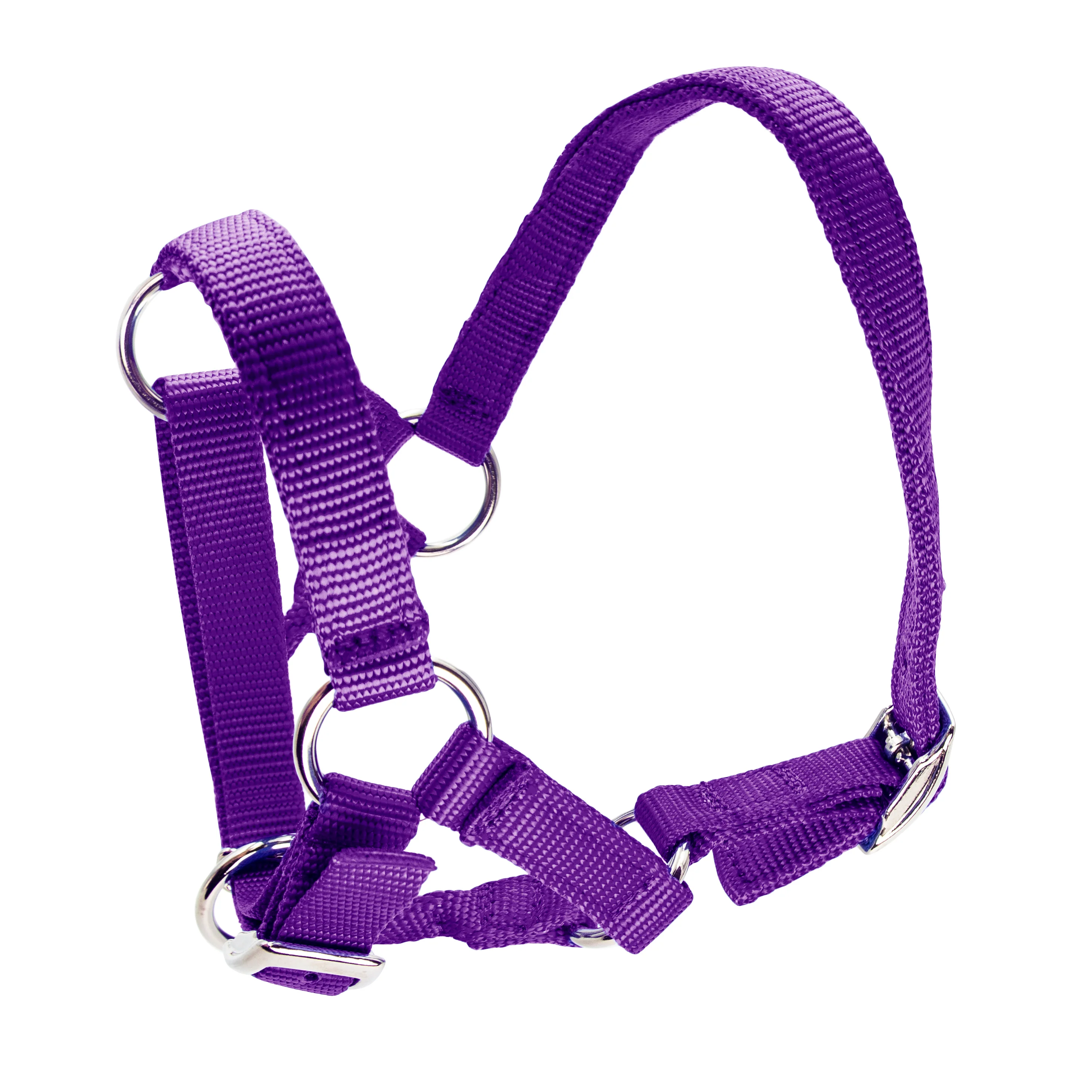 Bainbridge Halter For Alpacas - Image 5
