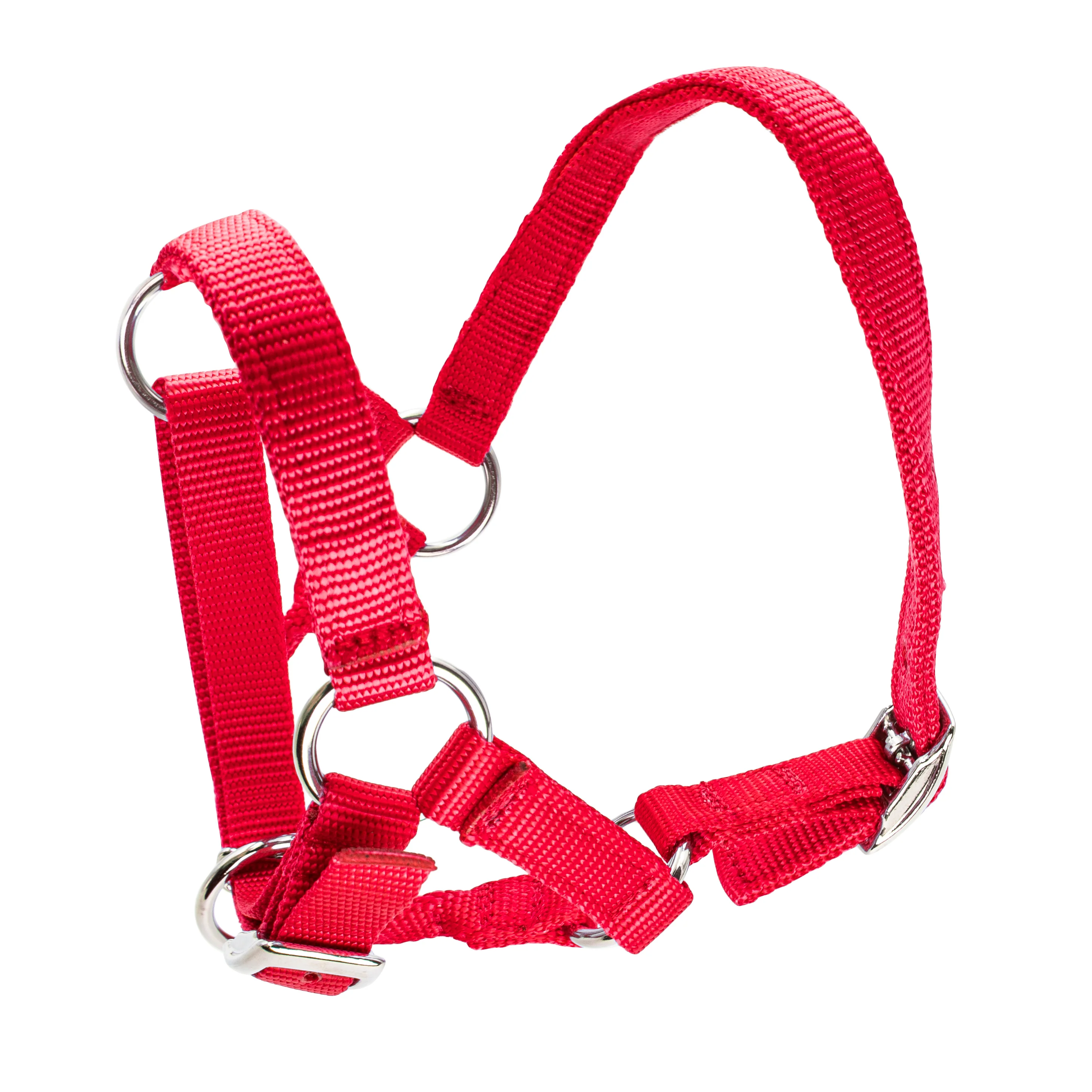 Bainbridge Halter For Alpacas - Image 6