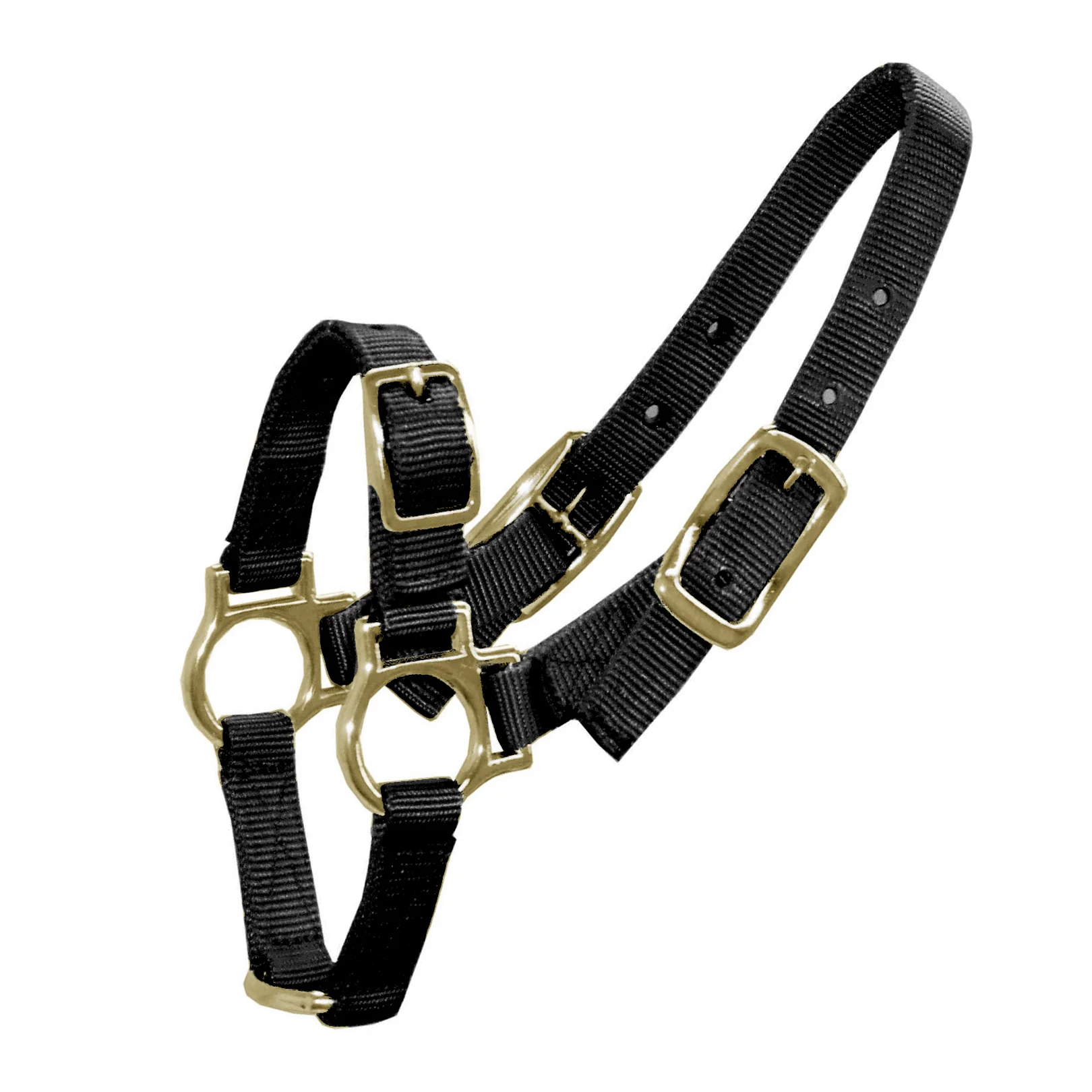 Bainbridge Halter For Sheep & Goats - Image 2