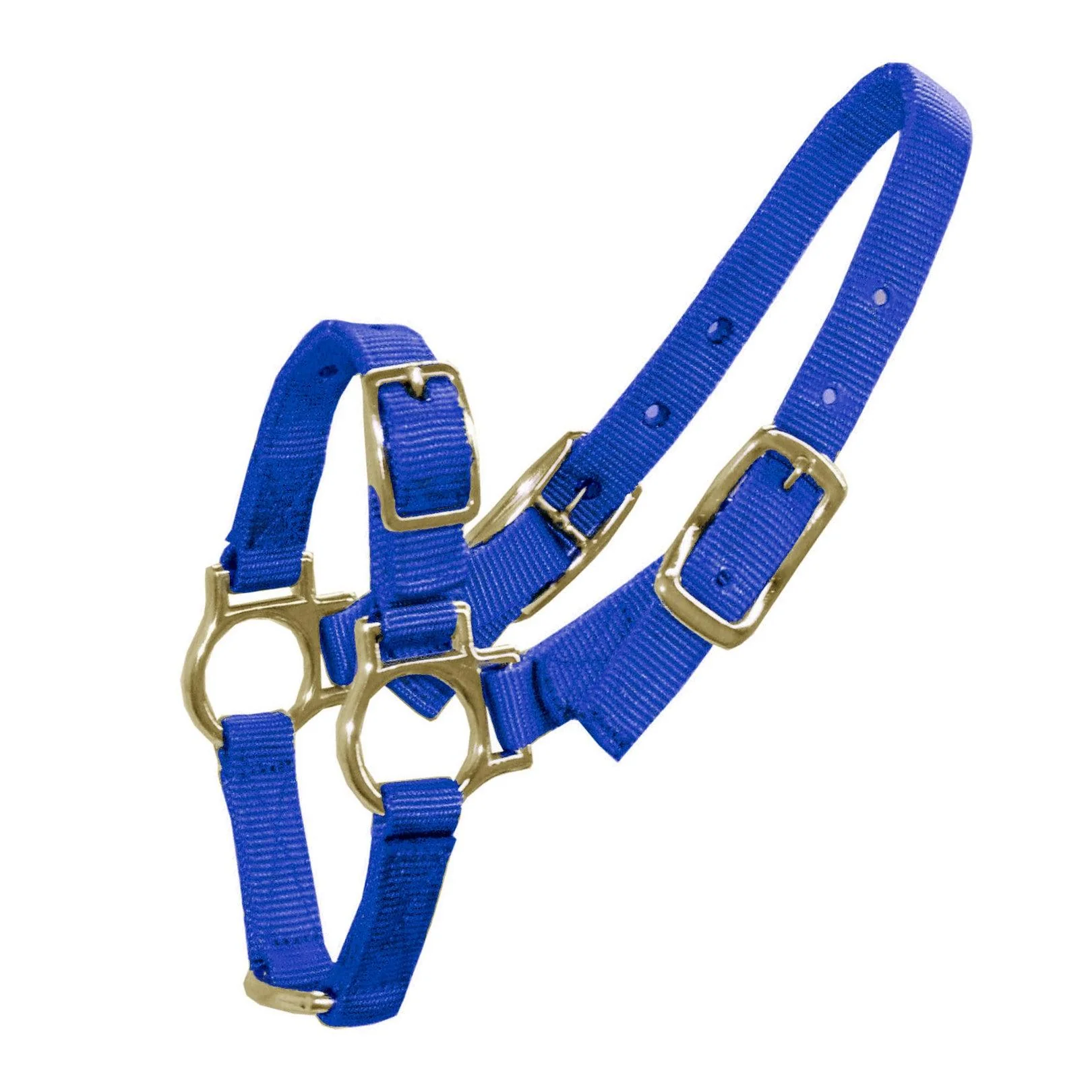 Bainbridge Halter For Sheep & Goats - Image 3