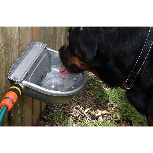 Bainbridge Stainless Steel Automatic Drinking Dog Bowl - Image 4