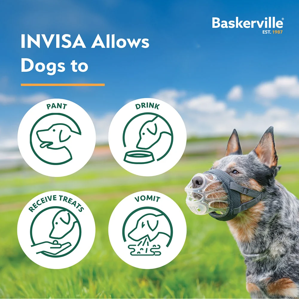Baskerville Invisa Dog Muzzle - Image 29
