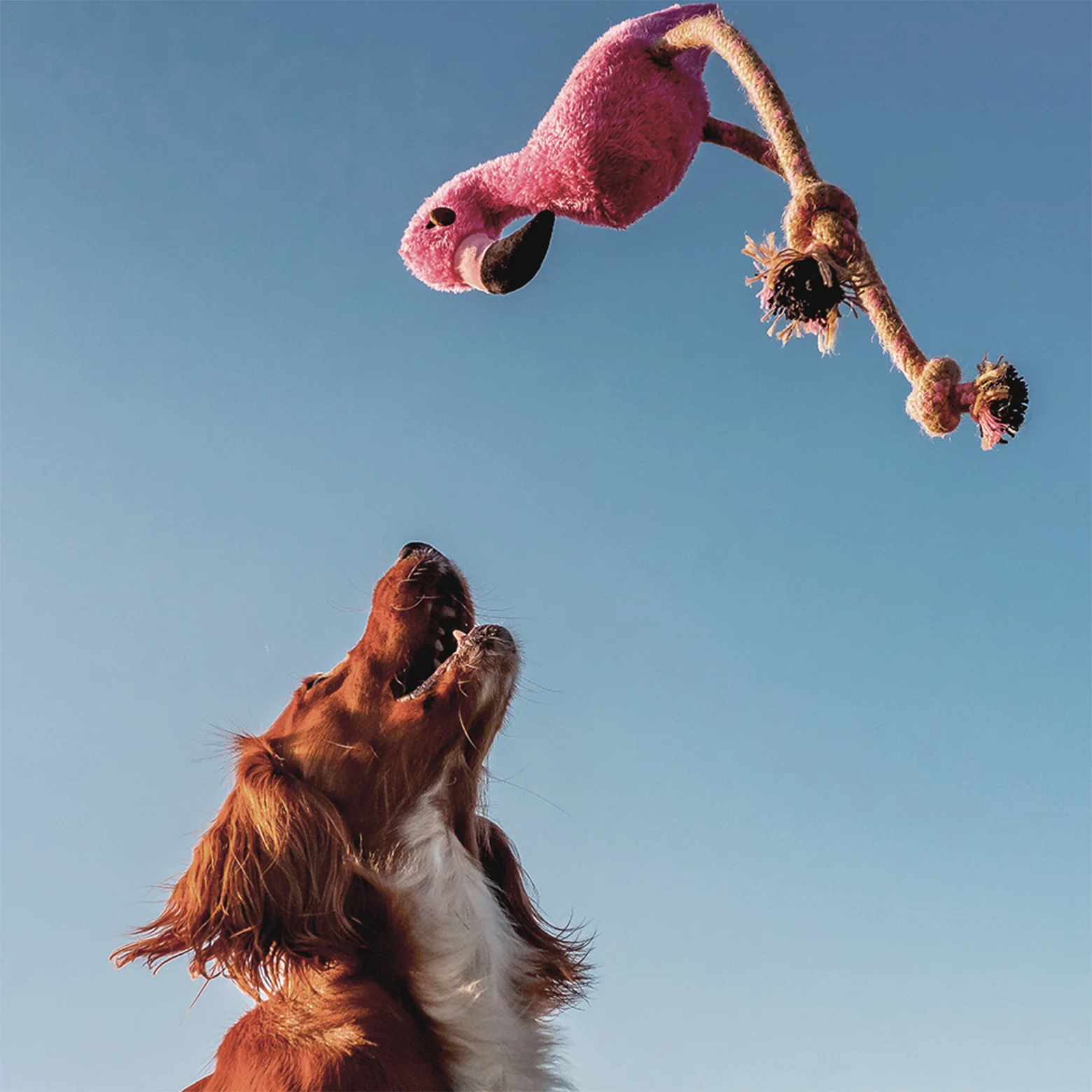 Beco Dual Material Flamingo Dog Toy - Image 3