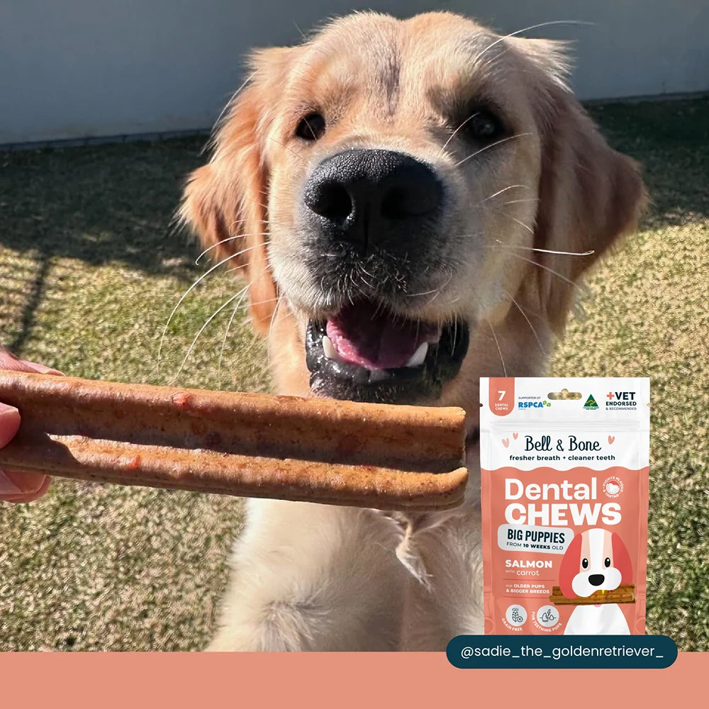 Bell & Bone Big Puppy Salmon Dental Chews 7pk - Image 2
