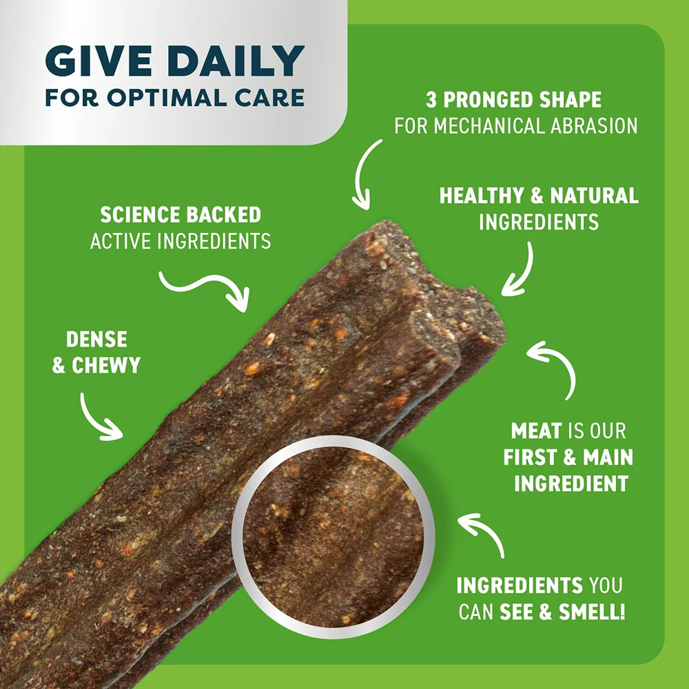 Bell & Bone Chicken, Mint & Seaweed Dental Stick Dog Treats - Image 15