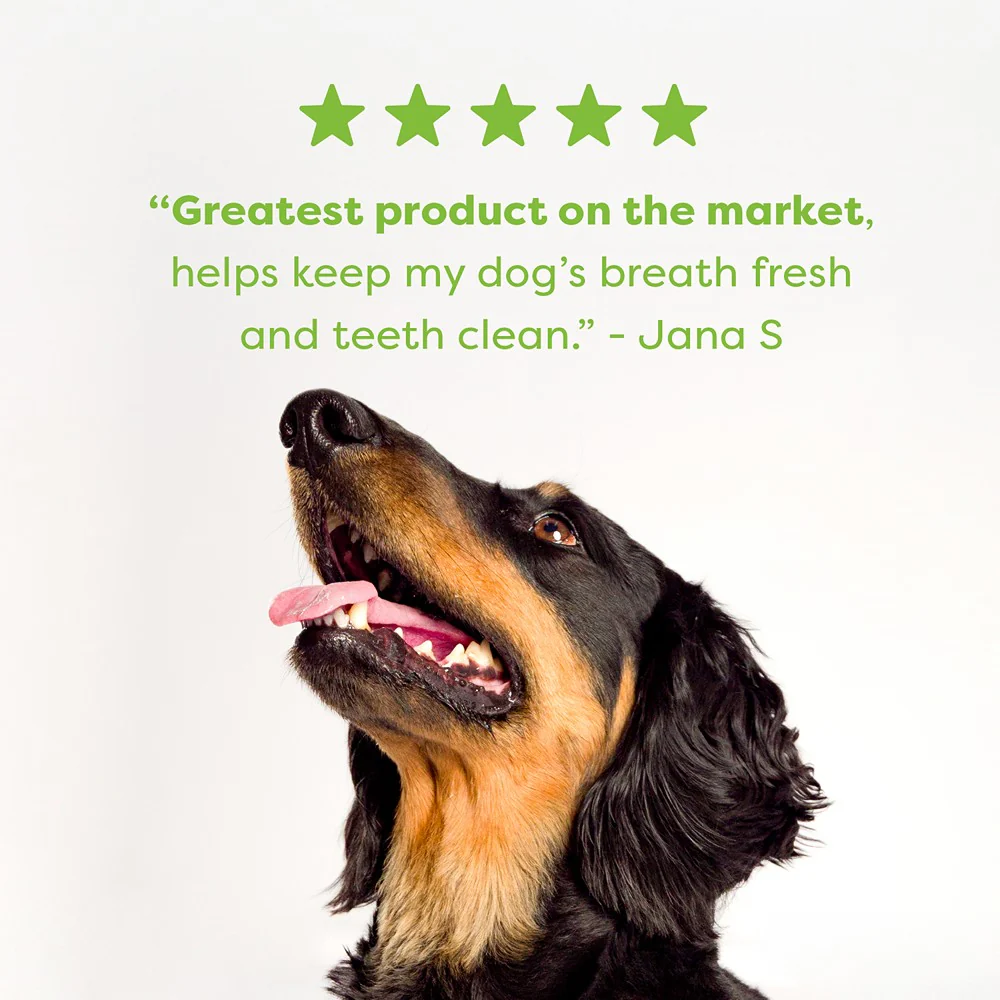 Bell & Bone Chicken, Mint & Seaweed Dental Stick Dog Treats - Image 22