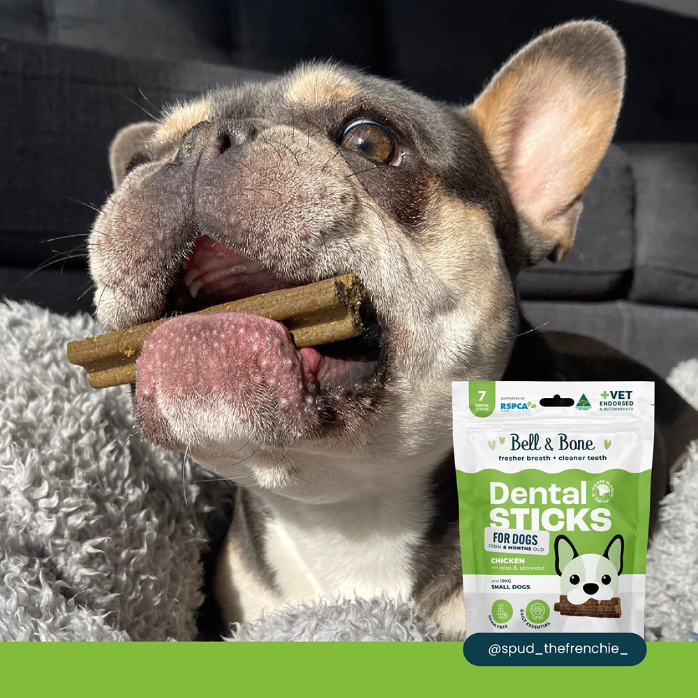 Bell & Bone Chicken, Mint & Seaweed Dental Stick Dog Treats - Image 4