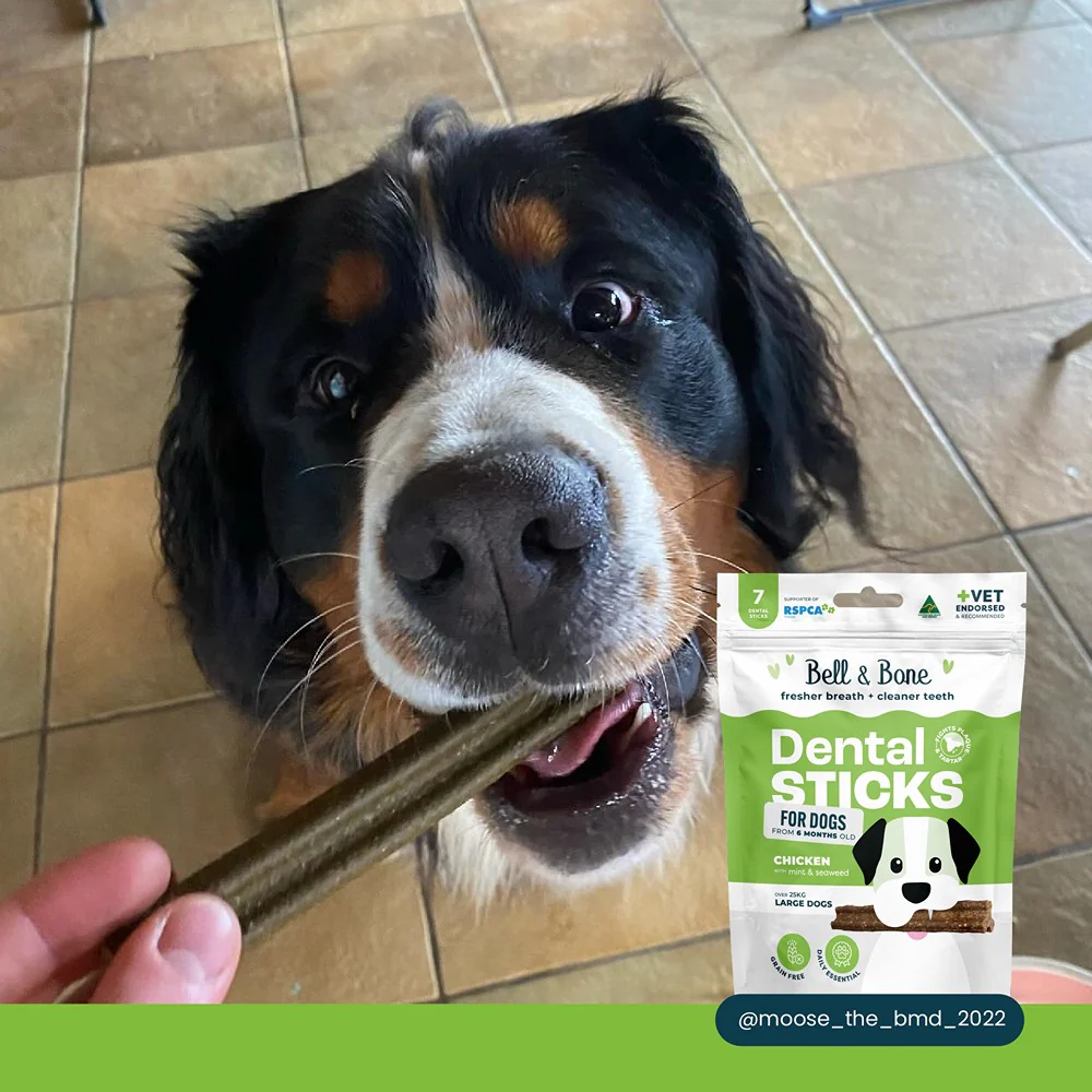 Bell & Bone Chicken, Mint & Seaweed Dental Stick Dog Treats - Image 6