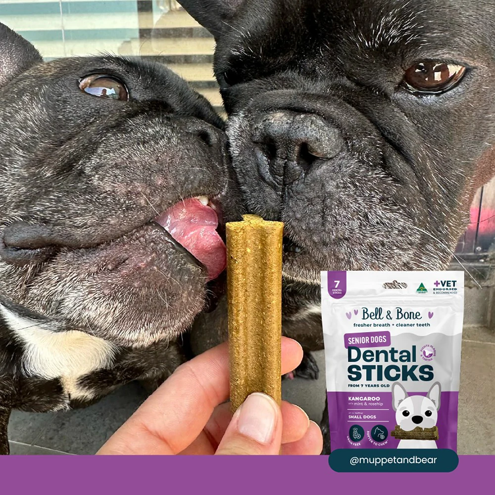 Bell & Bone Kangaroo Senior Dental Sticks Dog Treats - Image 4
