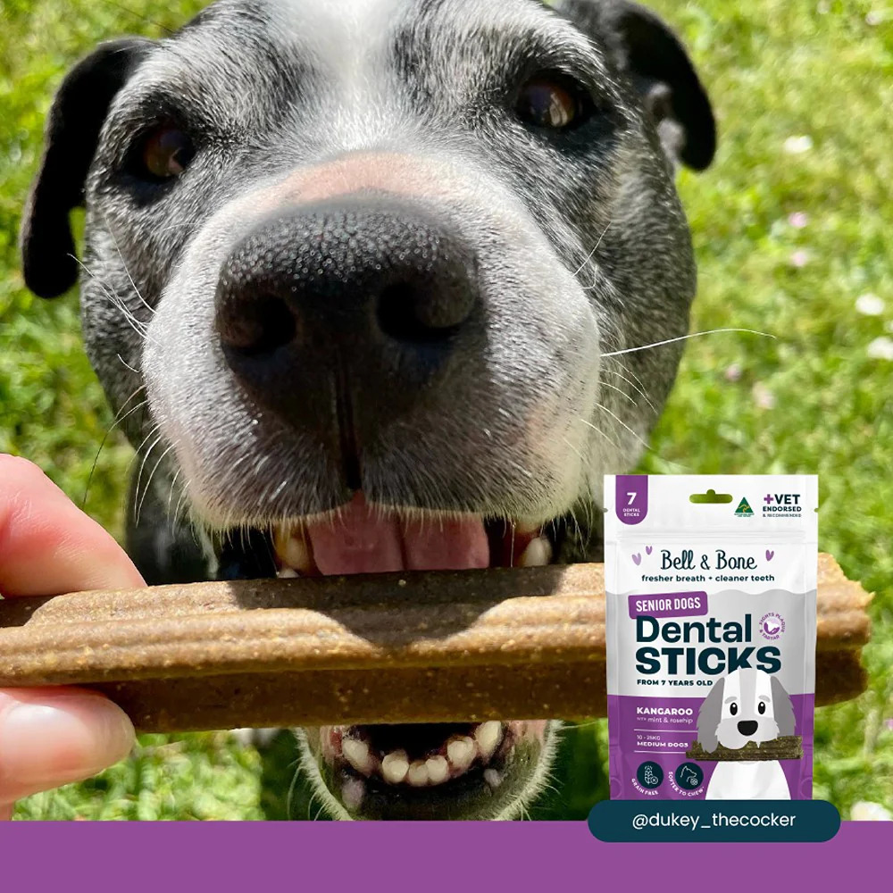 Bell & Bone Kangaroo Senior Dental Sticks Dog Treats - Image 5