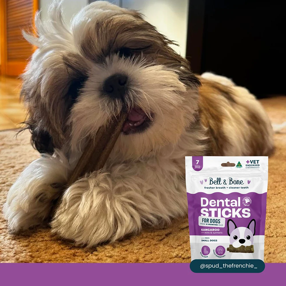 Bell & Bone Roo & Turmeric Dental Sticks Dog Treats - Image 4