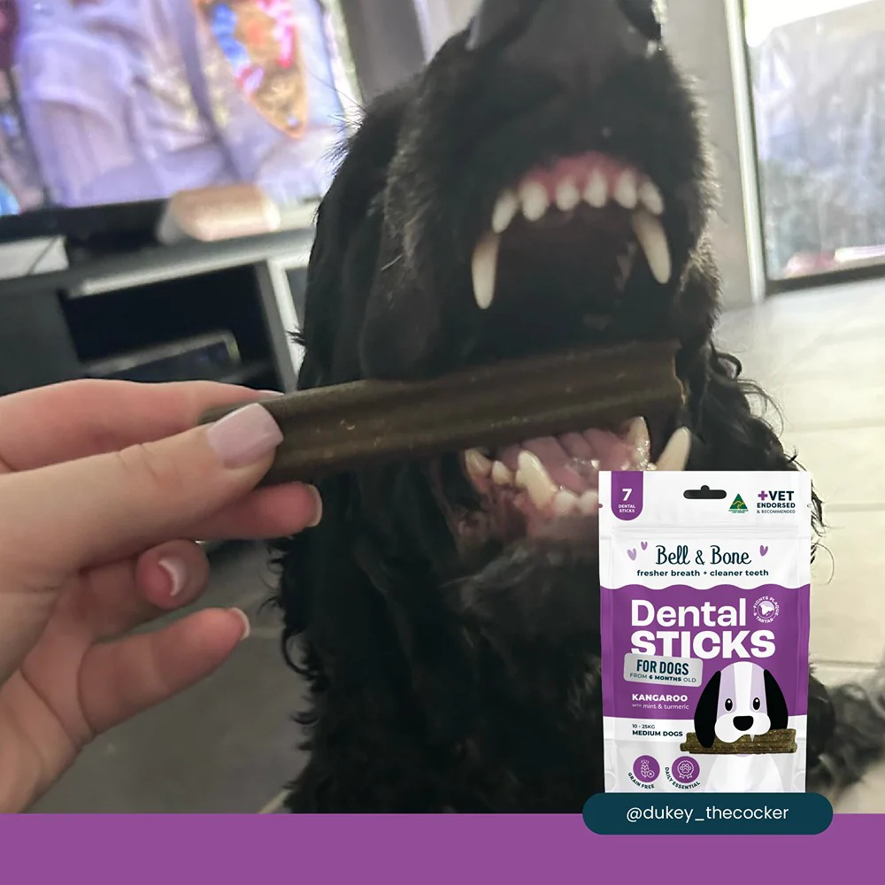 Bell & Bone Roo & Turmeric Dental Sticks Dog Treats - Image 5
