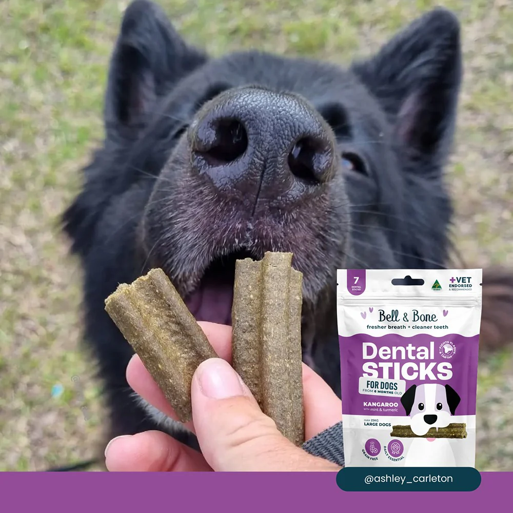 Bell & Bone Roo & Turmeric Dental Sticks Dog Treats - Image 6